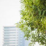 管理組合の理事会に家族が出席