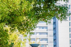 大規模修繕工事のコンサルタントの選び方