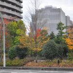 大規模修繕の周期は12年が適切？春夏秋冬どの季節に実施するのがお得？