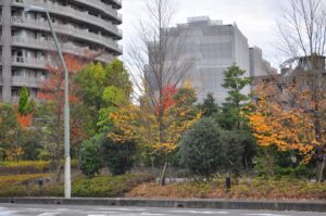 大規模修繕の周期は12年が適切？春夏秋冬どの季節に実施するのがお得？