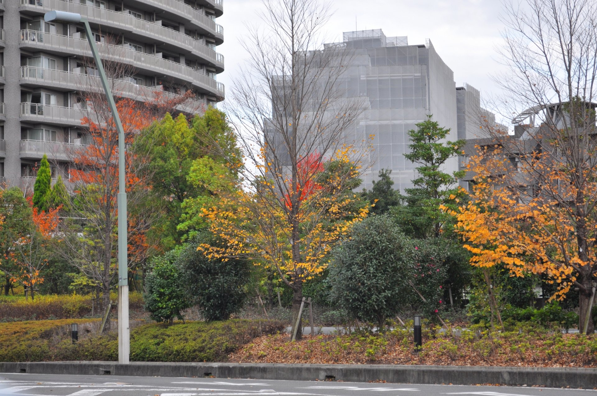 大規模修繕の周期は12年が適切?春夏秋冬どの季節に実施するのがお得?